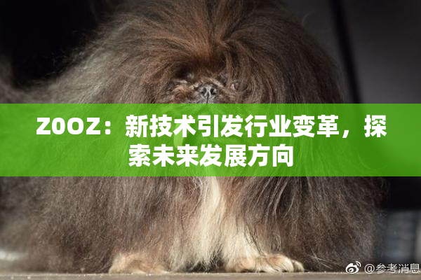 Z0OZ：新技术引发行业变革，探索未来发展方向