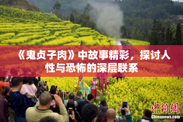 《鬼贞子肉》中故事精彩，探讨人性与恐怖的深层联系