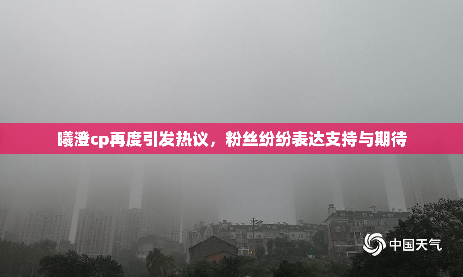 曦澄cp再度引发热议，粉丝纷纷表达支持与期待