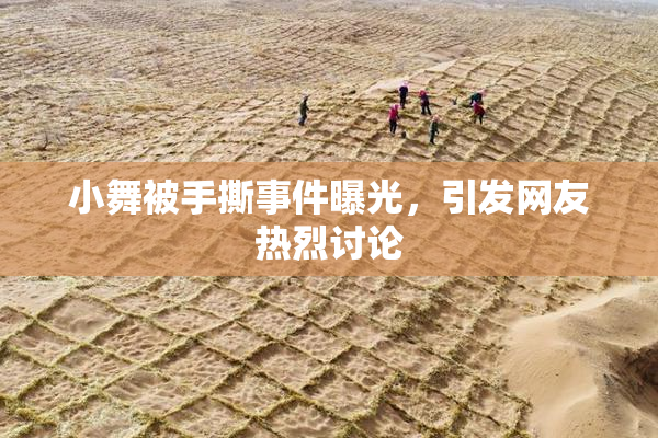 小舞被手撕事件曝光，引发网友热烈讨论