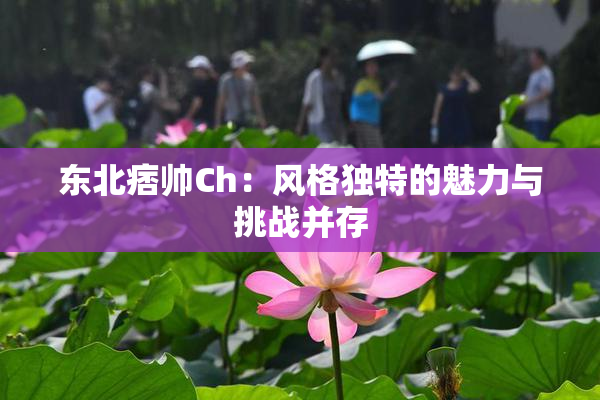 东北痞帅Ch：风格独特的魅力与挑战并存