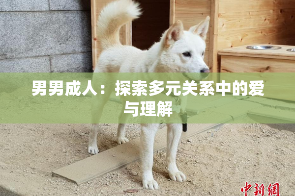 男男成人：探索多元关系中的爱与理解