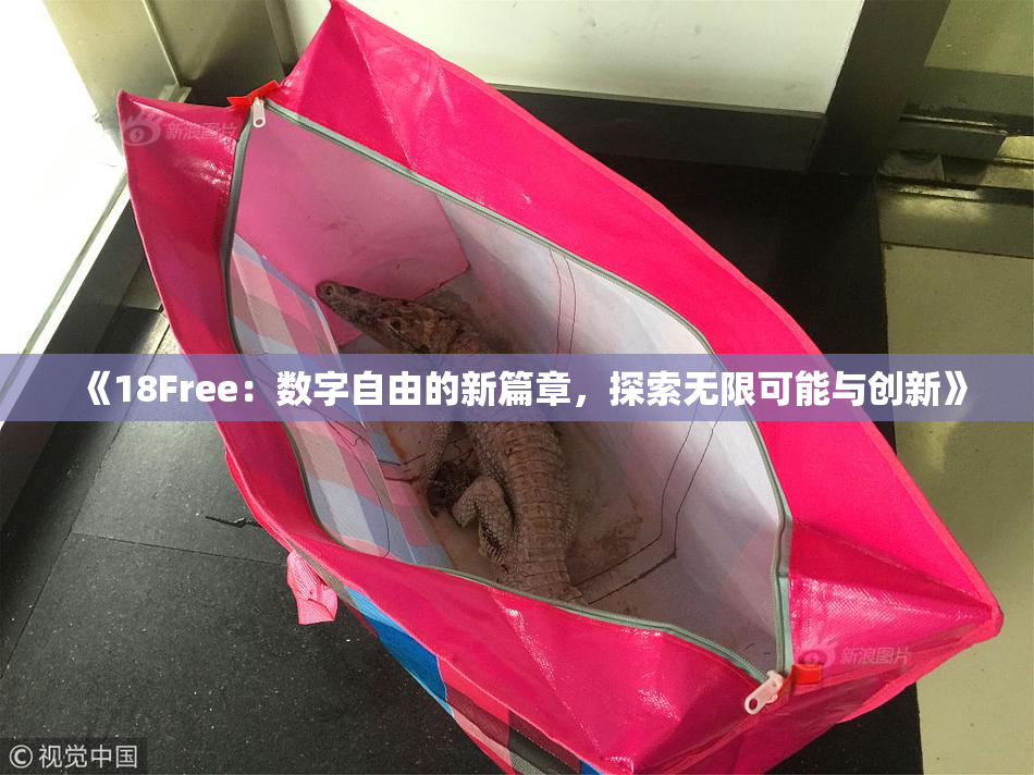 《18Free：数字自由的新篇章，探索无限可能与创新》
