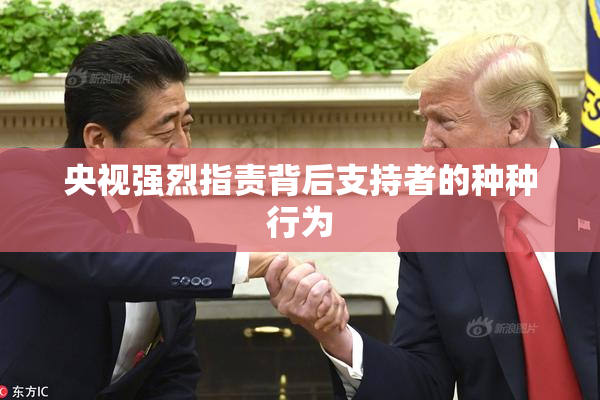 央视强烈指责背后支持者的种种行为