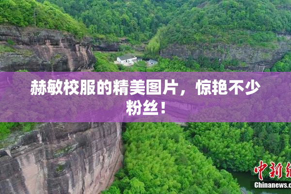 赫敏校服的精美图片，惊艳不少粉丝！