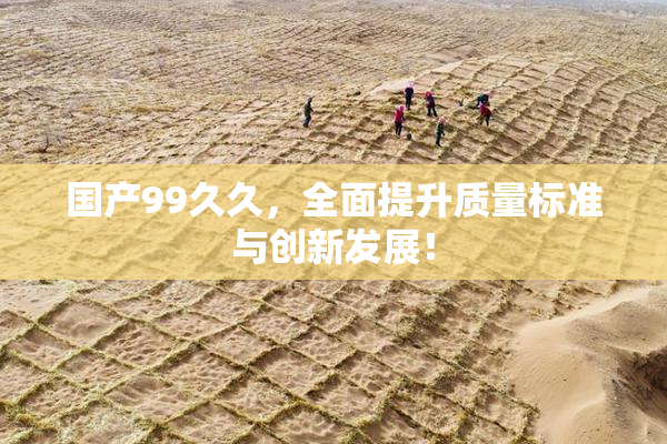 国产99久久，全面提升质量标准与创新发展！