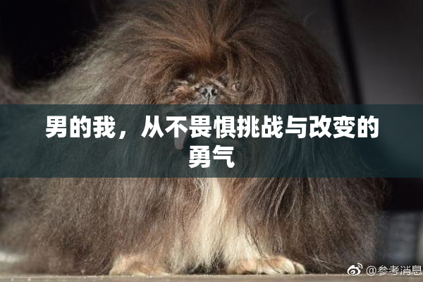 男的我，从不畏惧挑战与改变的勇气
