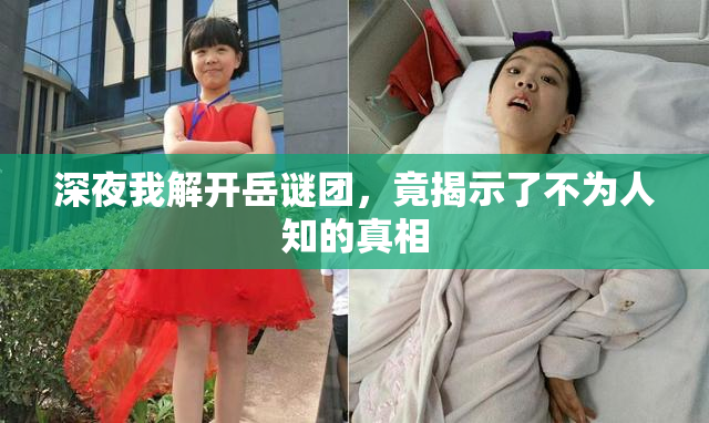 深夜我解开岳谜团，竟揭示了不为人知的真相