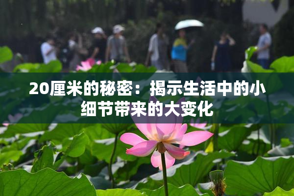 20厘米的秘密：揭示生活中的小细节带来的大变化