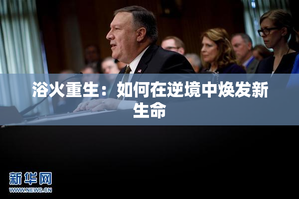浴火重生：如何在逆境中焕发新生命