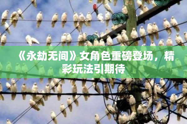 《永劫无间》女角色重磅登场，精彩玩法引期待