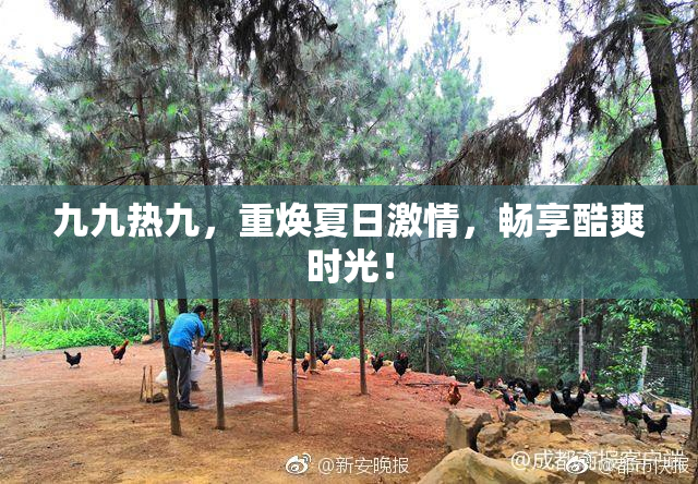 九九热九，重焕夏日激情，畅享酷爽时光！