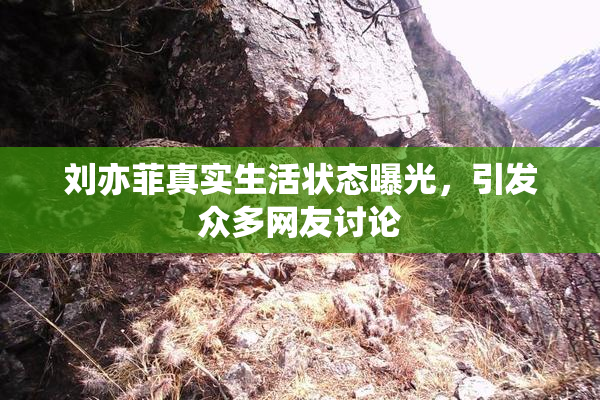 刘亦菲真实生活状态曝光，引发众多网友讨论