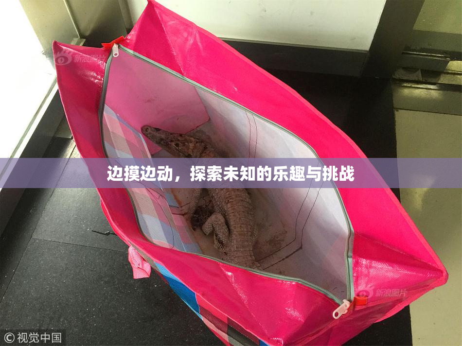 边摸边动，探索未知的乐趣与挑战