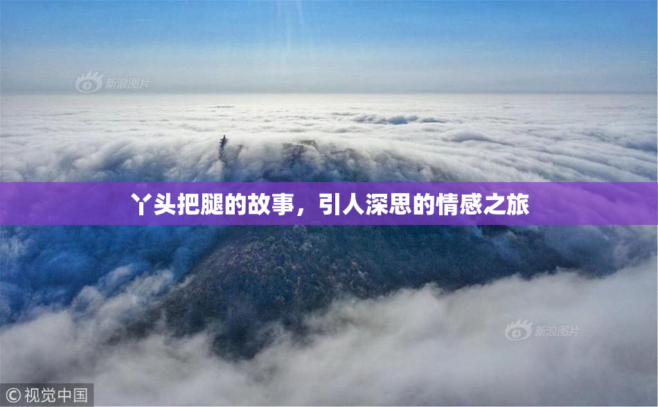 丫头把腿的故事，引人深思的情感之旅
