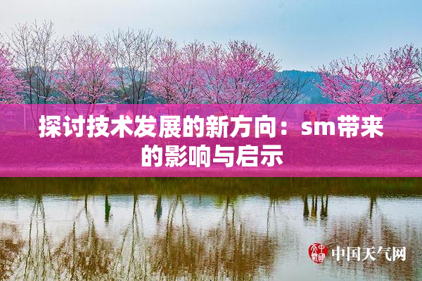 探讨技术发展的新方向：sm带来的影响与启示
