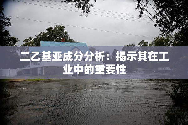 二乙基亚成分分析：揭示其在工业中的重要性