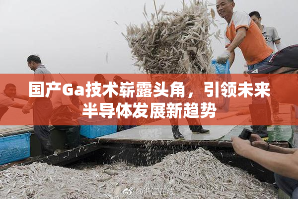 国产Ga技术崭露头角，引领未来半导体发展新趋势