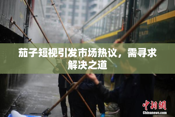 茄子短视引发市场热议，需寻求解决之道