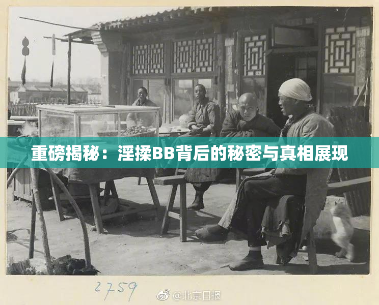 重磅揭秘：淫揉BB背后的秘密与真相展现