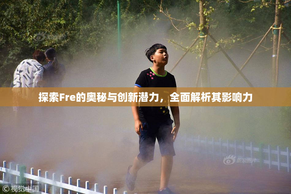 探索Fre的奥秘与创新潜力，全面解析其影响力