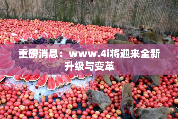 重磅消息：www.4i将迎来全新升级与变革