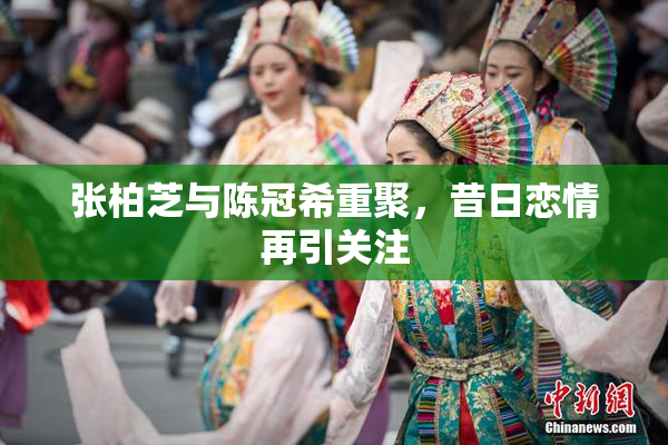 张柏芝与陈冠希重聚，昔日恋情再引关注