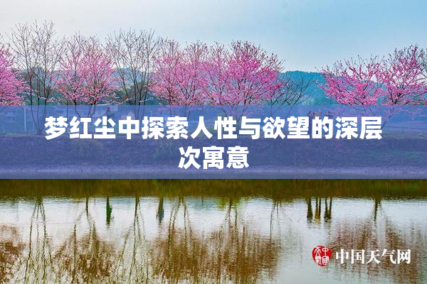 梦红尘中探索人性与欲望的深层次寓意