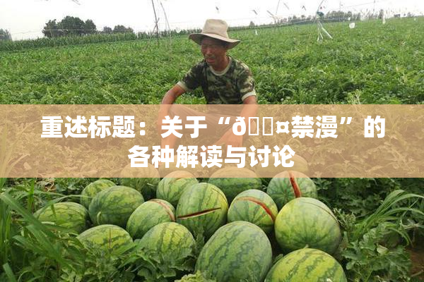 重述标题：关于“🖤禁漫”的各种解读与讨论