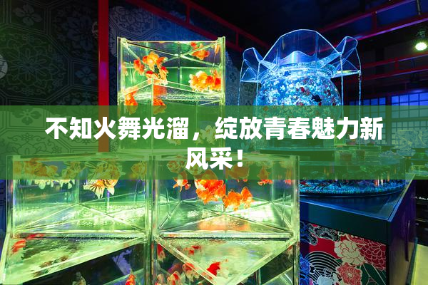 不知火舞光溜，绽放青春魅力新风采！