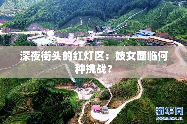 深夜街头的红灯区：妓女面临何种挑战？