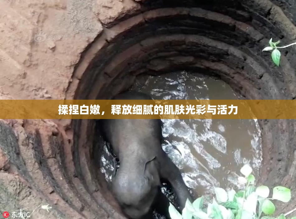 揉捏白嫩，释放细腻的肌肤光彩与活力