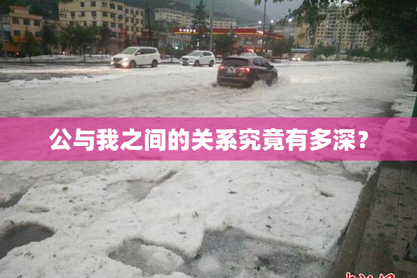 公与我之间的关系究竟有多深？