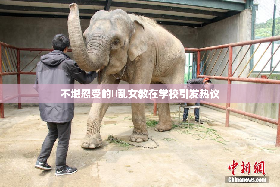 不堪忍受的婬乱女教在学校引发热议