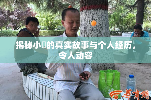 揭秘小泬的真实故事与个人经历，令人动容