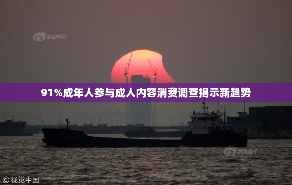 91%成年人参与成人内容消费调查揭示新趋势