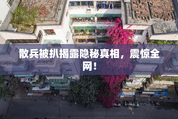 散兵被扒揭露隐秘真相，震惊全网！