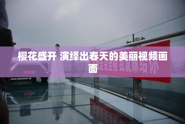 樱花盛开 演绎出春天的美丽视频画面