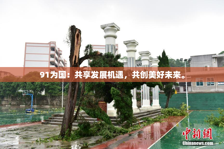 91为国：共享发展机遇，共创美好未来。
