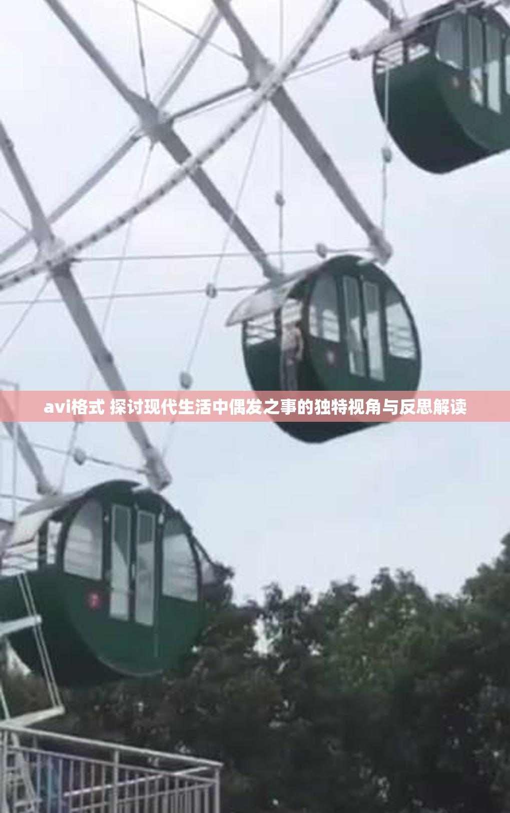 avi格式 探讨现代生活中偶发之事的独特视角与反思解读