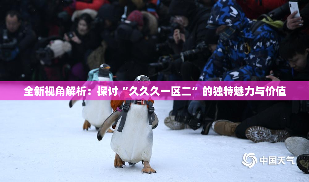 全新视角解析：探讨“久久久一区二”的独特魅力与价值