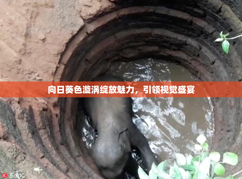 向日葵色漩涡绽放魅力，引领视觉盛宴