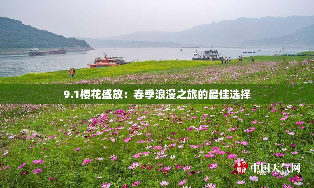 9.1樱花盛放：春季浪漫之旅的最佳选择