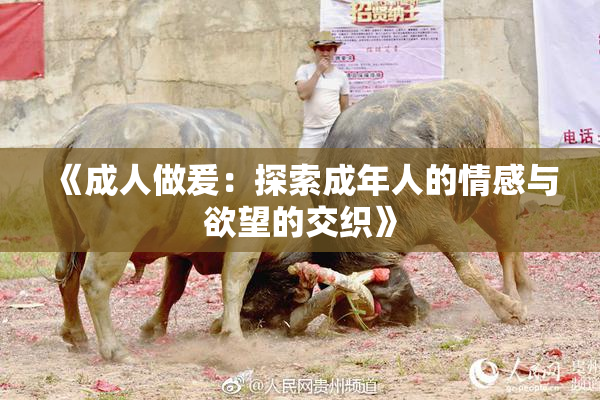 《成人做爰：探索成年人的情感与欲望的交织》