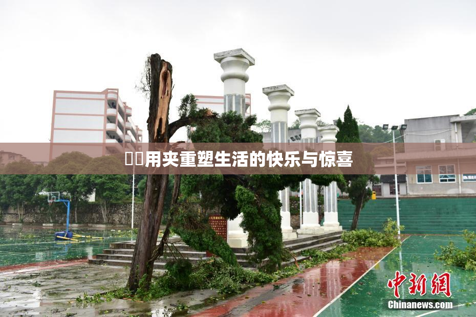 妺妺用夹重塑生活的快乐与惊喜