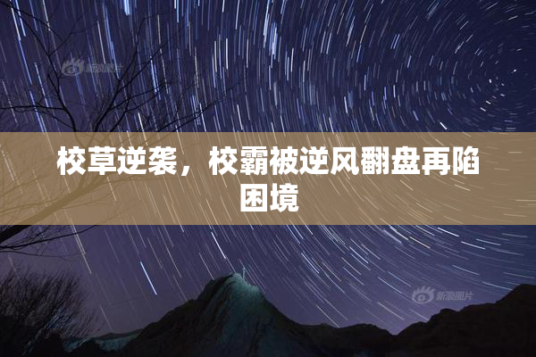 校草逆袭，校霸被逆风翻盘再陷困境