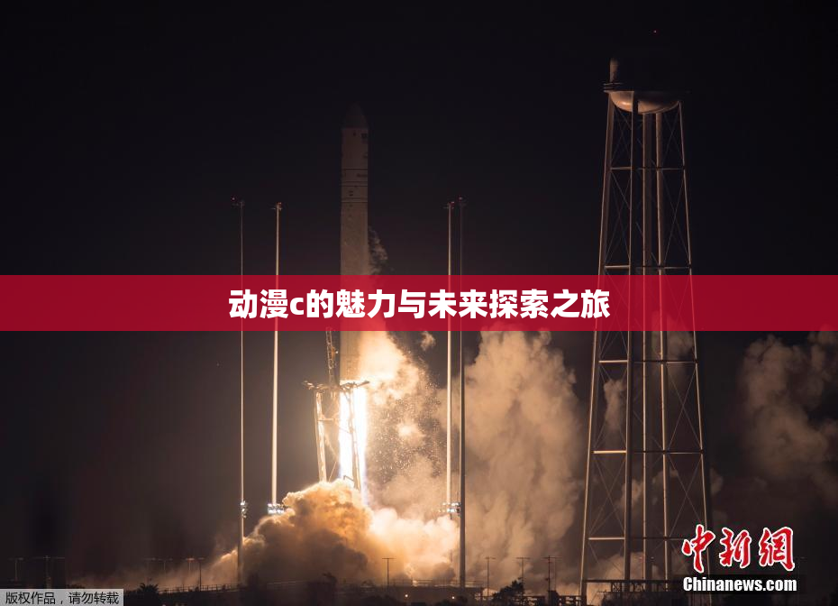 动漫c的魅力与未来探索之旅