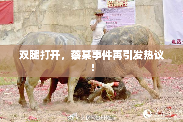 双腿打开，蔡某事件再引发热议！