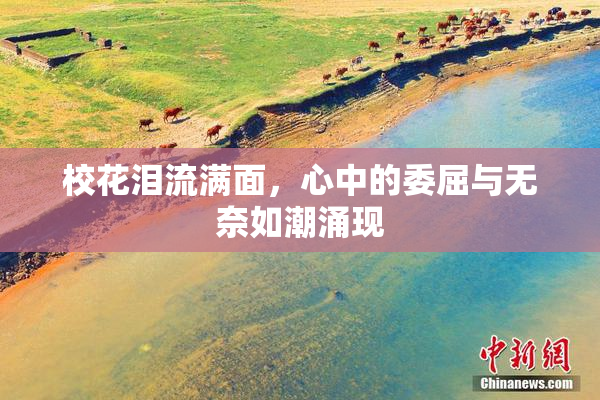 校花泪流满面，心中的委屈与无奈如潮涌现