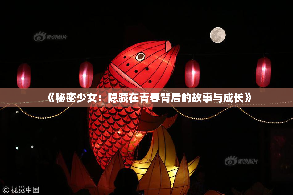 《秘密少女：隐藏在青春背后的故事与成长》